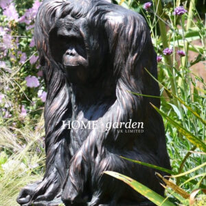 Jungle Book Orangutang