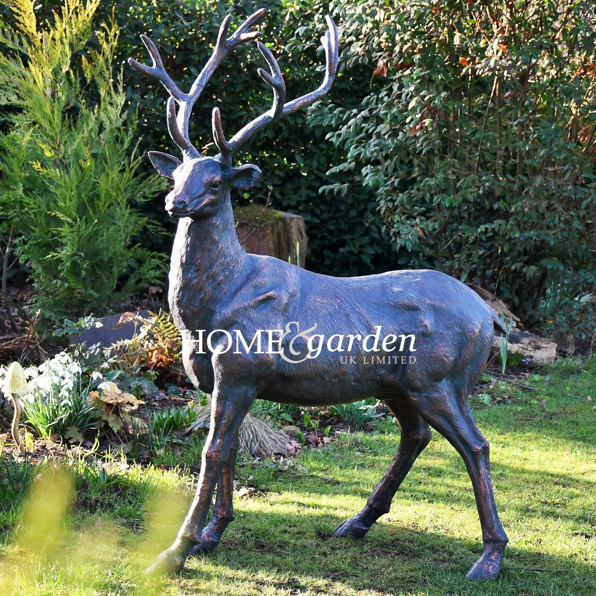 Stag Startled