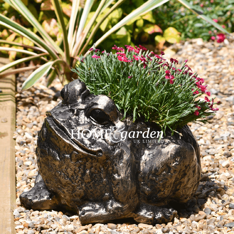 Bull Frog Planter