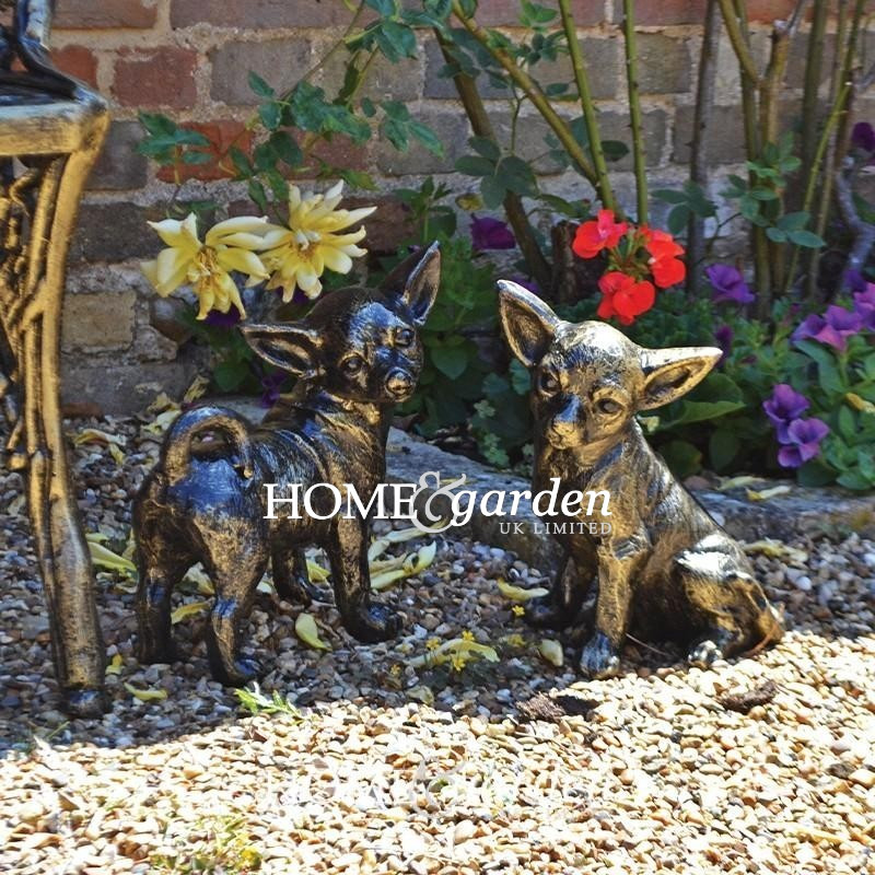 Standing Chihuahua Dog