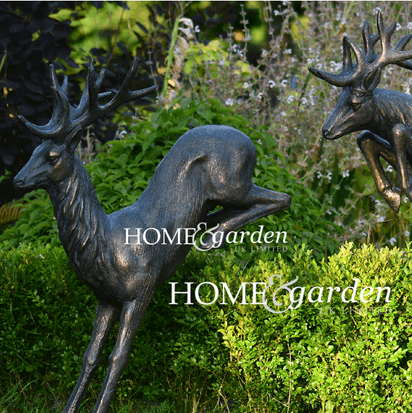 ELEGANT STAG LANDING