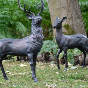 Deer Elegant Medium Set