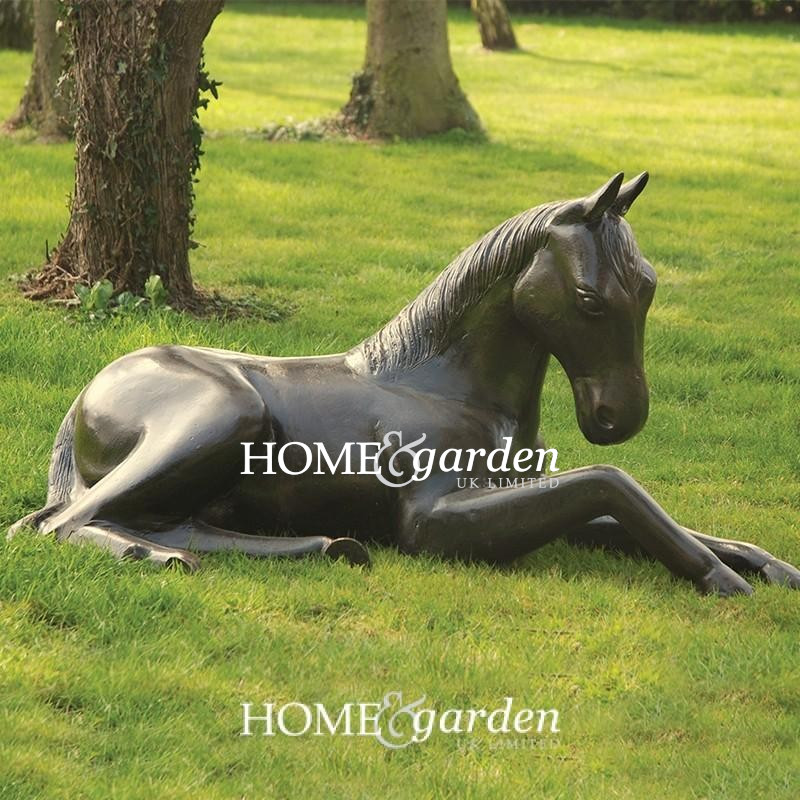 Laying Foal