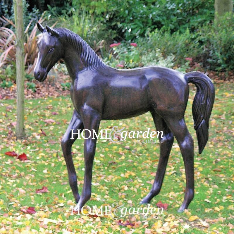 Standing Foal