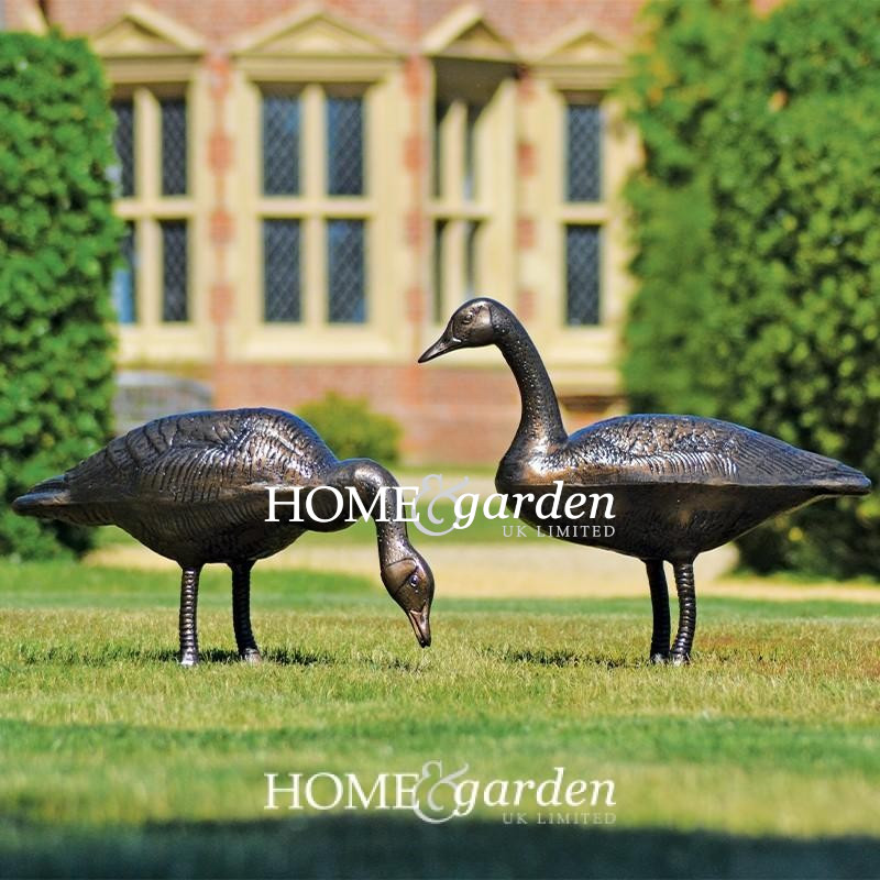 Geese Pair