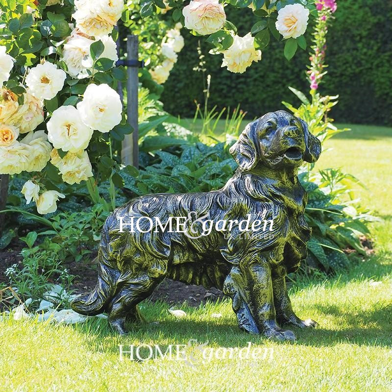 Golden Retriever Dog