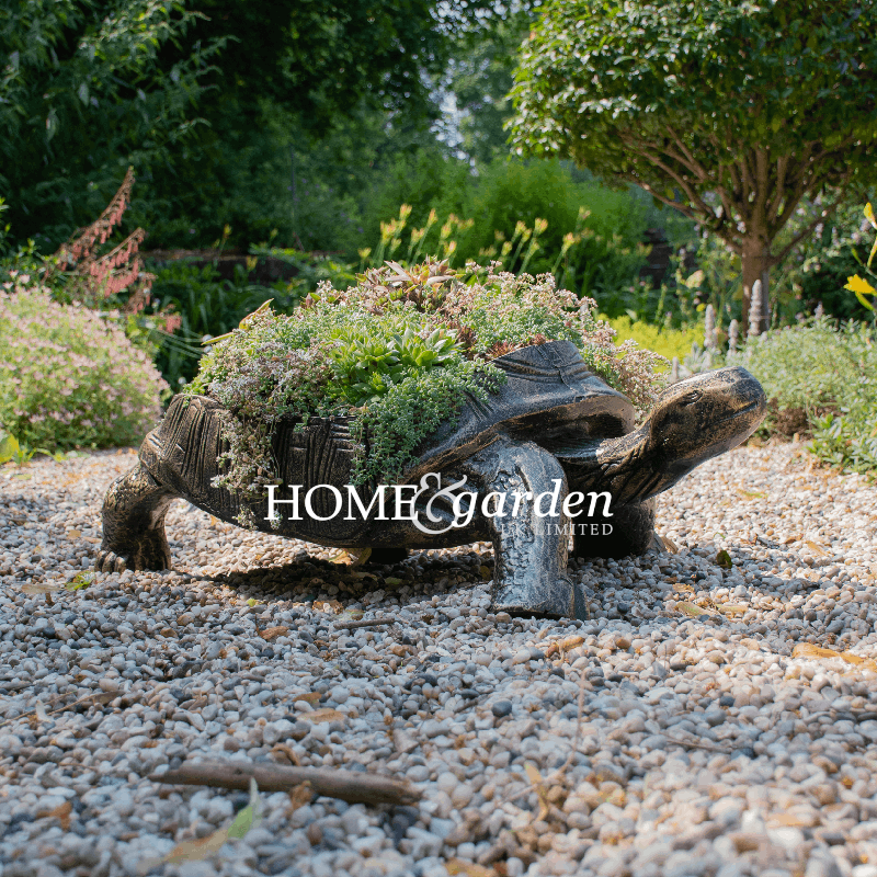 Large Tortoise Planter