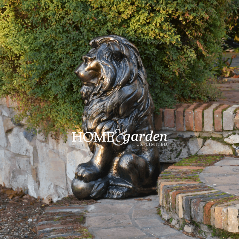 Lion Sitting Left With Ball