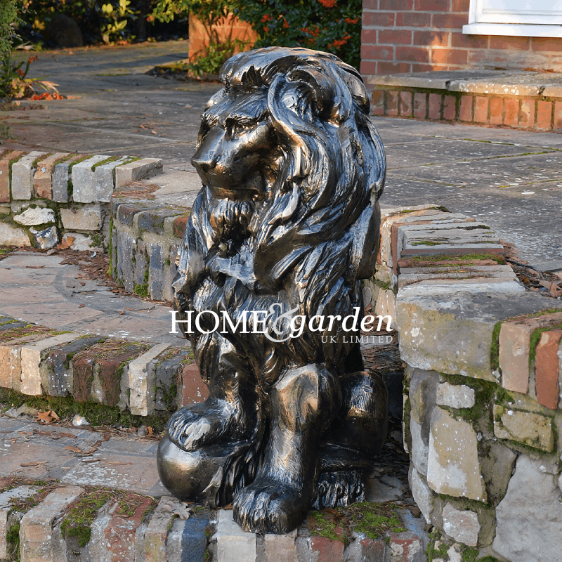 Lion Sitting Right With Ball