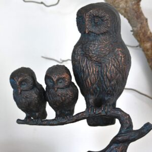 Owl Family