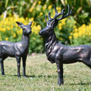 Deer Elegant Small Set