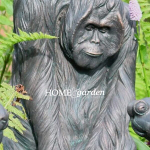 Jungle Book SMALL Orangutang