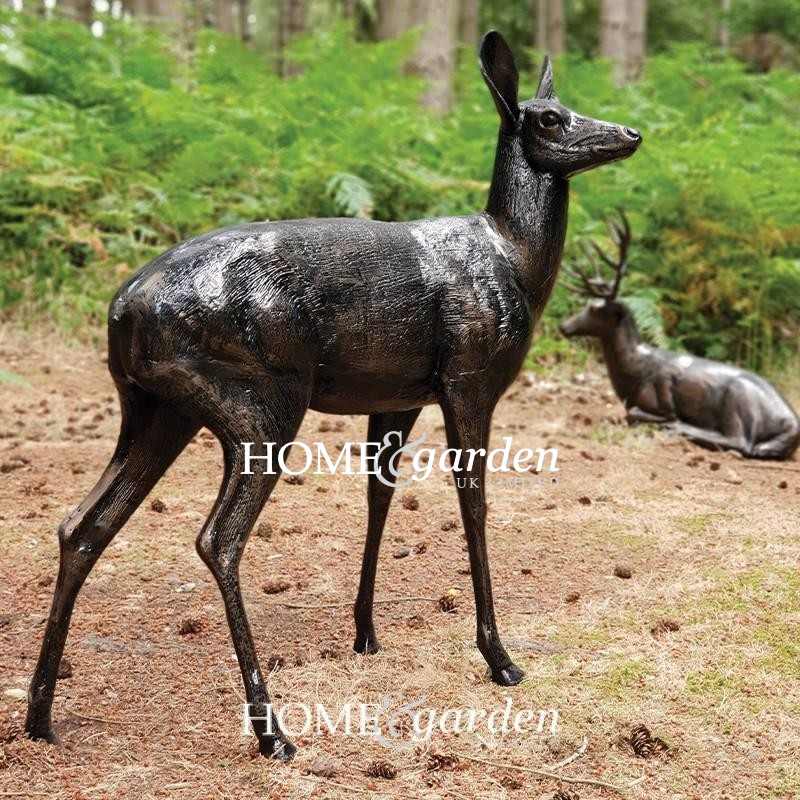 Standing Doe