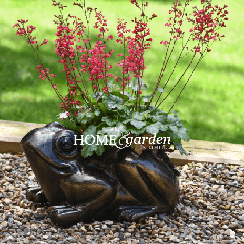Toad Planter