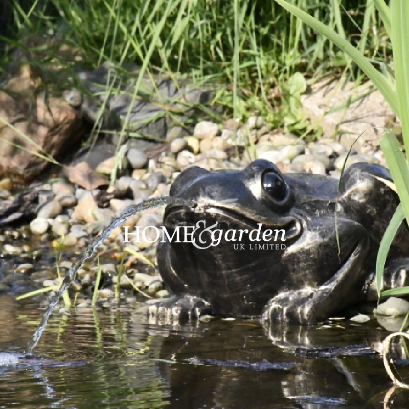 Toad Fountain