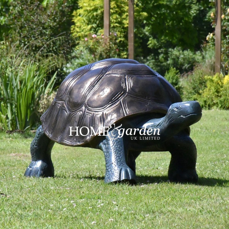 XXL Tortoise