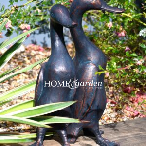Duck Pair Elegant- Modern Design