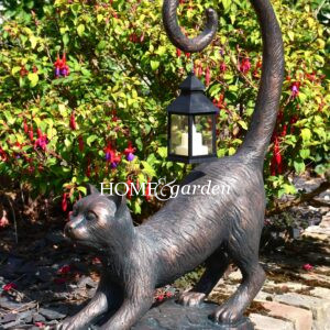 Lantern - Cat