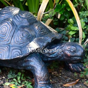 Tortoise Classic Large